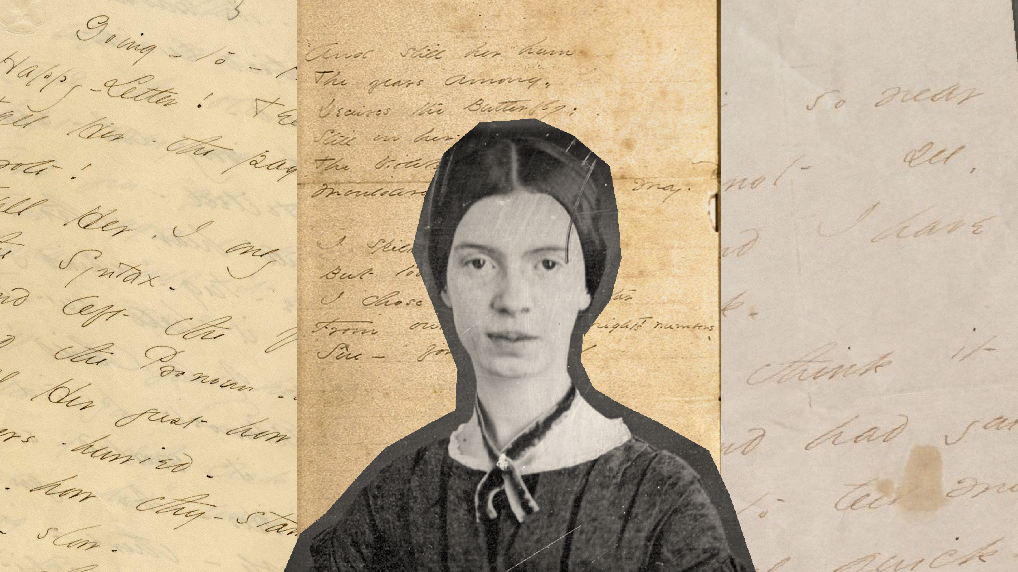 queer literature: the life and poetry of emily dickinson
