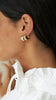 Novidades image