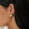 all CINCO 18k image