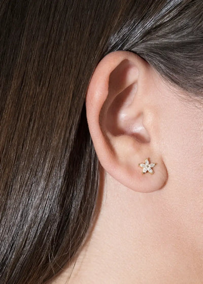 brincos de diamantes 18k flor Brincos